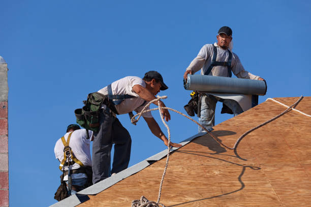 Best Metal Roofing Contractor  in Fort Sumner, NM